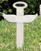 Brinislaw Radaszewski